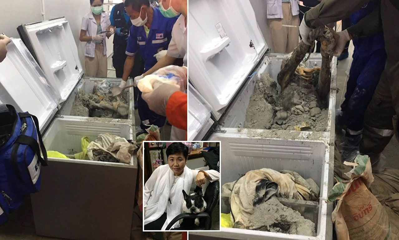 İş kadınının cesedi buzdolabından çıktı! - Sayfa 5