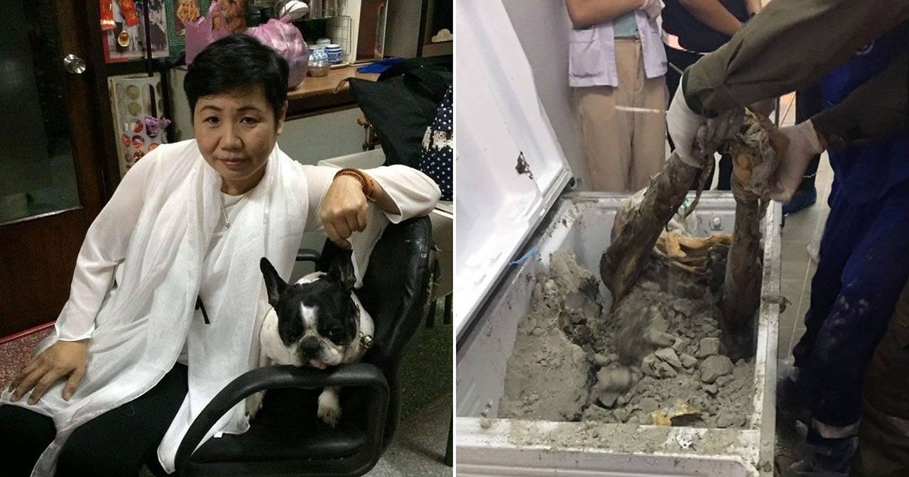 İş kadınının cesedi buzdolabından çıktı! - Sayfa 10