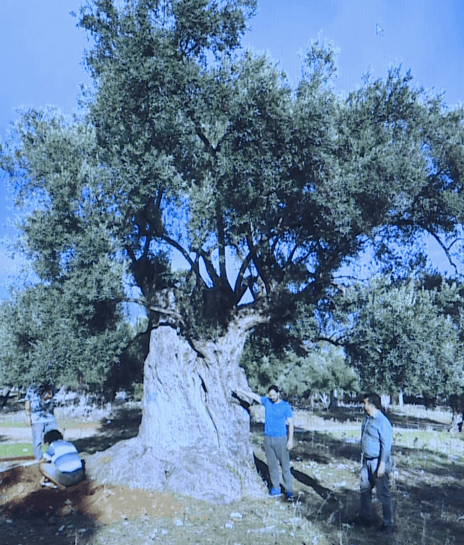 3 bin yıllık sırrı nükleer fizikçiler çözdü! - Sayfa 6
