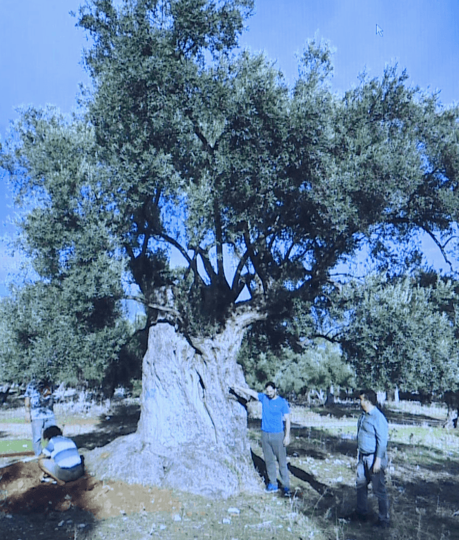 3 bin yıllık sırrı nükleer fizikçiler çözdü! - Sayfa 10