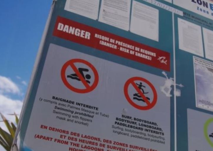 Günlerdir aranıyordu! Parmağı köpekbalığının karnından çıktı - Sayfa 5