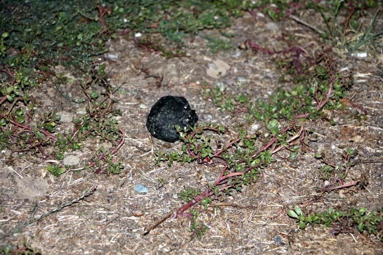 Parkta buldu kimse ne olduğunu bilmiyor! - Sayfa 7