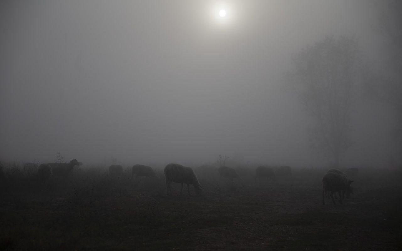 Marmara Bölgesi sise teslim oldu! - Sayfa 7
