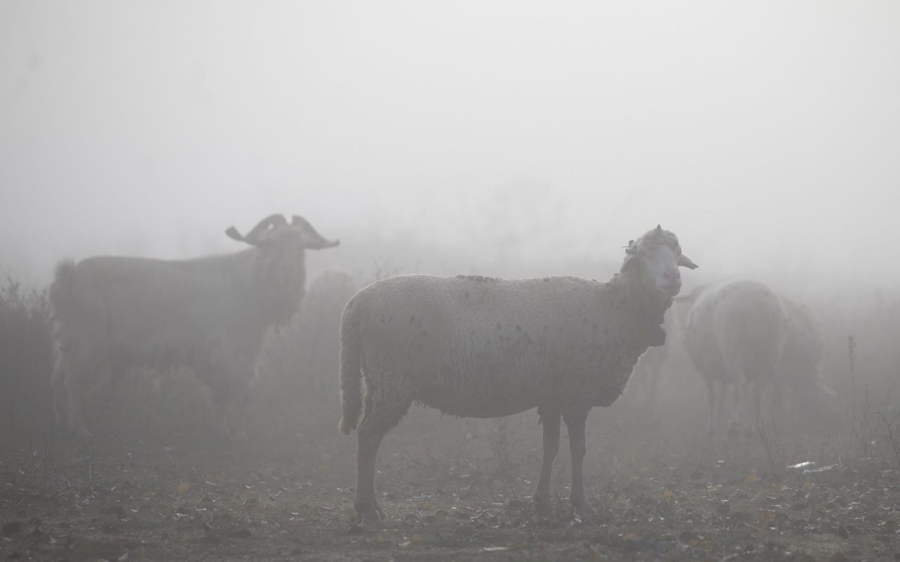 Marmara Bölgesi sise teslim oldu! - Sayfa 8