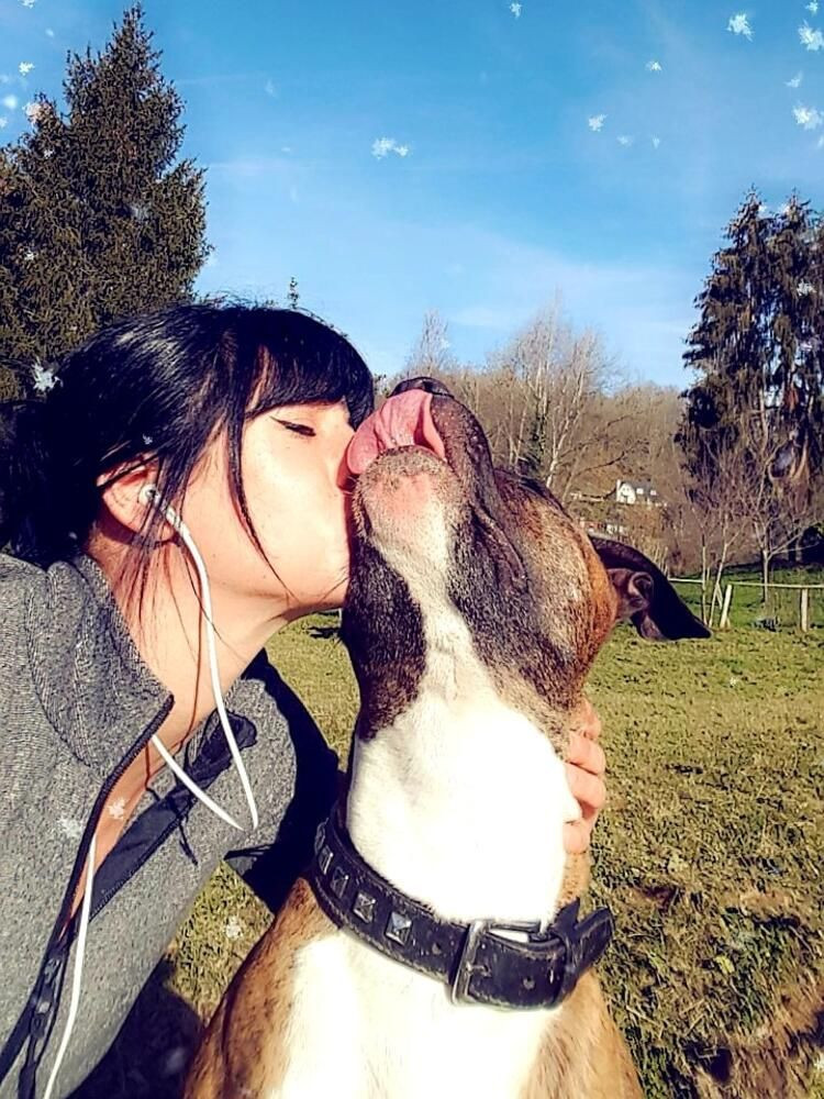 Korkunç! Hamile kadını ormanda köpekler parçaladı - Sayfa 6