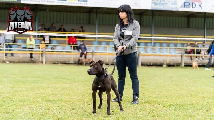 Korkunç! Hamile kadını ormanda köpekler parçaladı - Sayfa 23