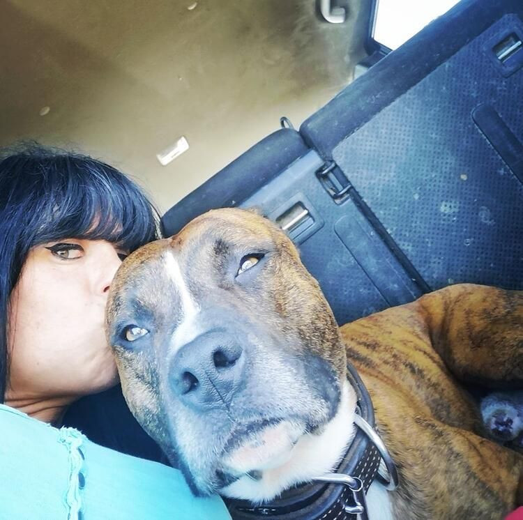 Korkunç! Hamile kadını ormanda köpekler parçaladı - Sayfa 21