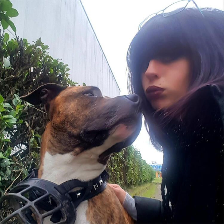 Korkunç! Hamile kadını ormanda köpekler parçaladı - Sayfa 28