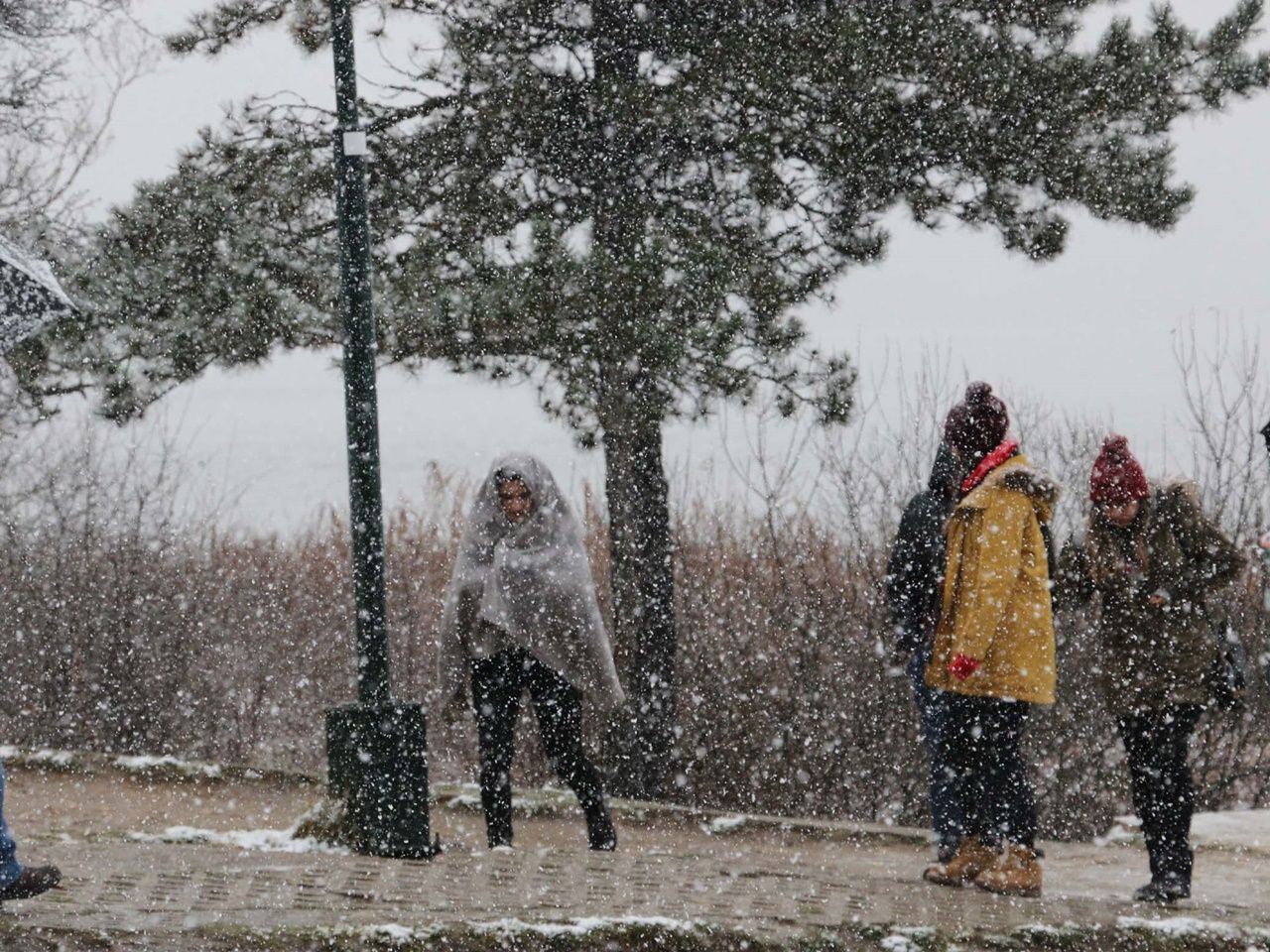 Kartpostallık manzaralar ortaya çıktı! - Sayfa 9