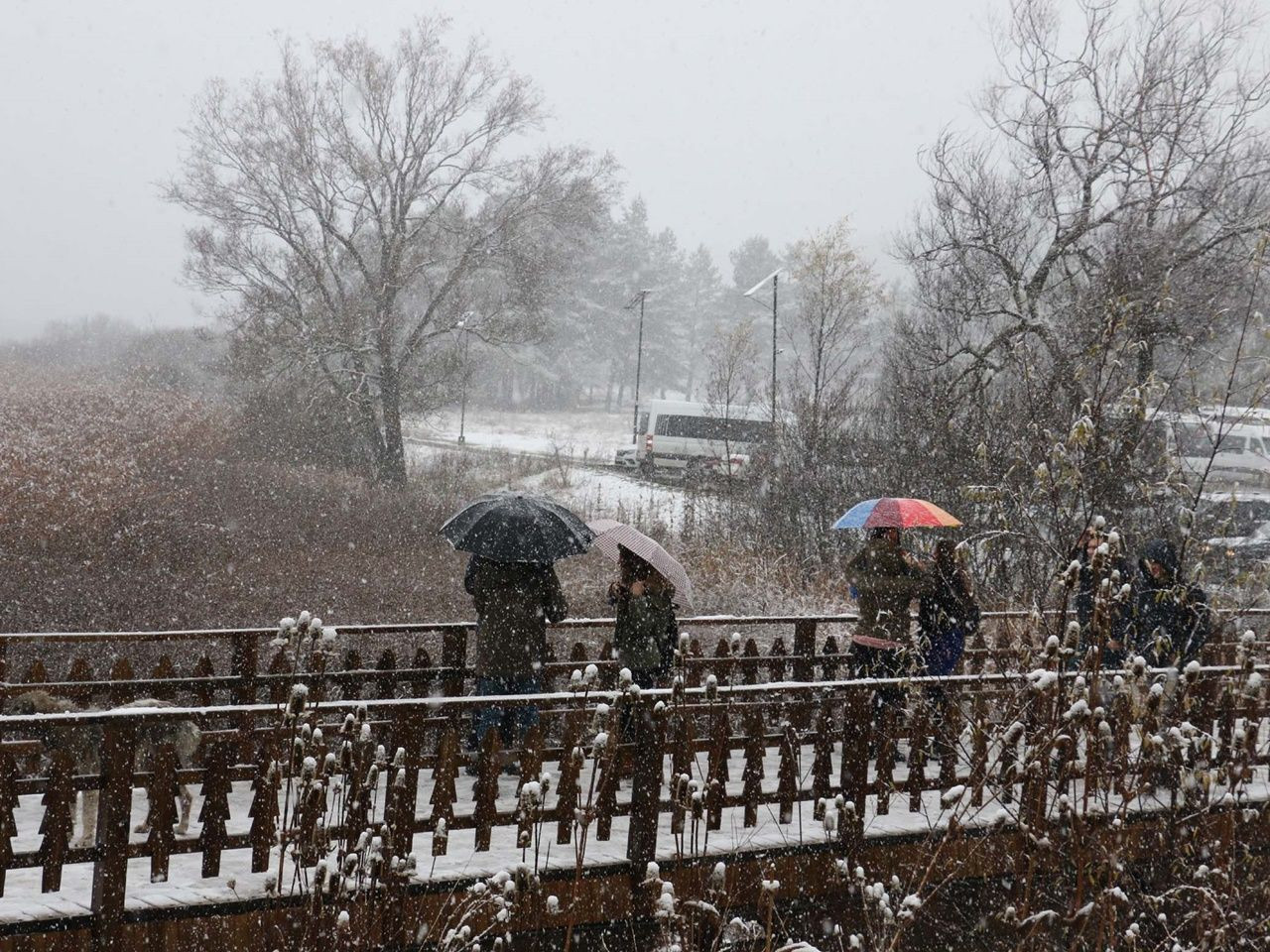 Kartpostallık manzaralar ortaya çıktı! - Sayfa 15