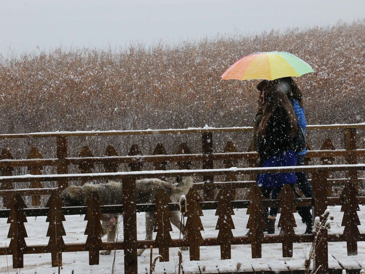 Kartpostallık manzaralar ortaya çıktı! - Sayfa 16
