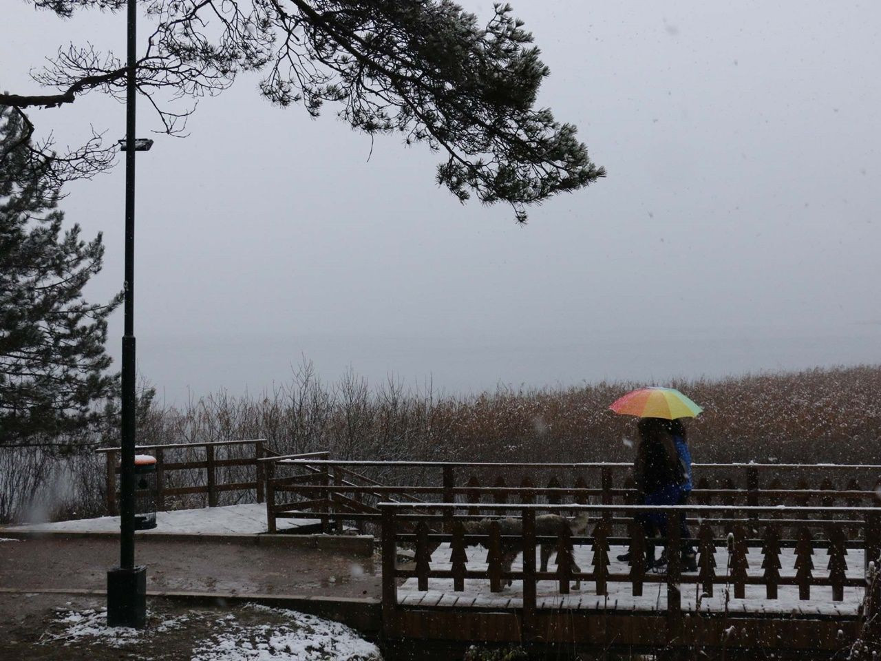 Kartpostallık manzaralar ortaya çıktı! - Sayfa 17