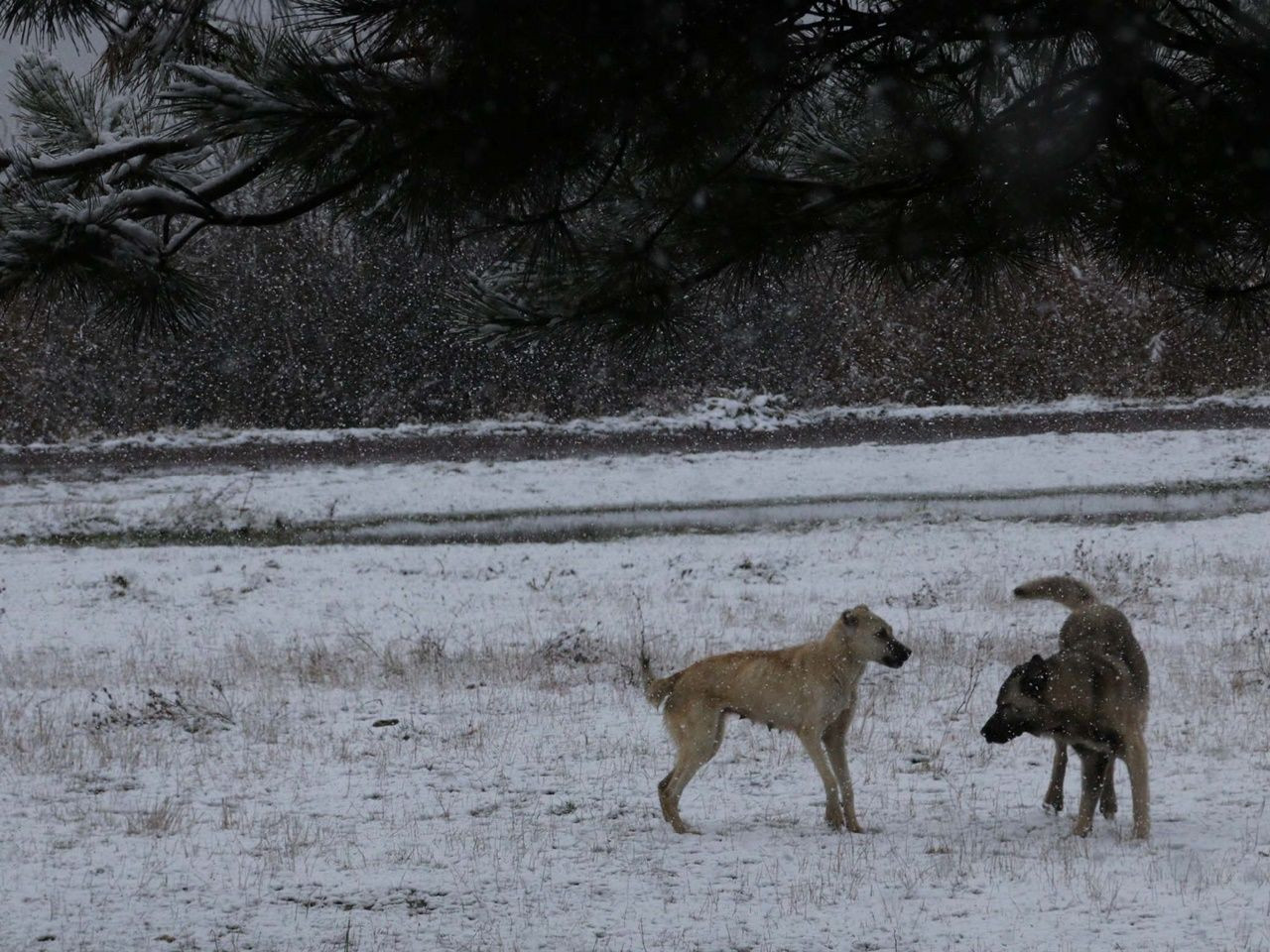 Kartpostallık manzaralar ortaya çıktı! - Sayfa 18