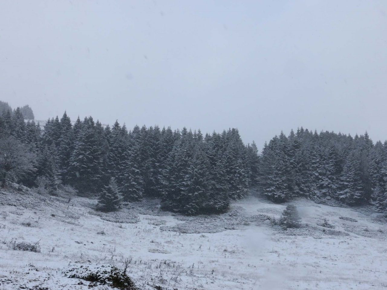 Kartpostallık manzaralar ortaya çıktı! - Sayfa 22