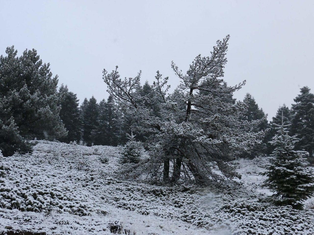 Kartpostallık manzaralar ortaya çıktı! - Sayfa 23