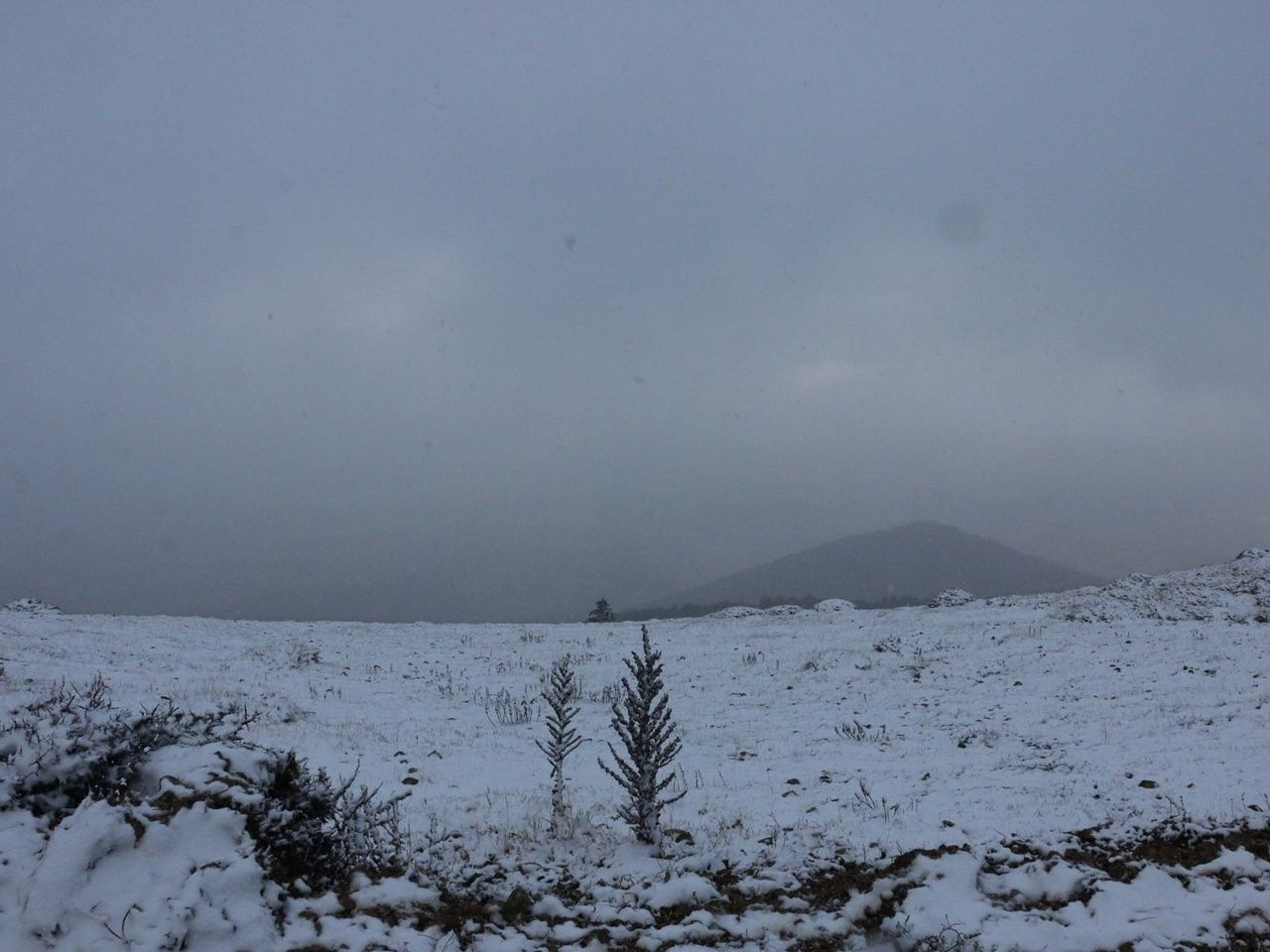 Kartpostallık manzaralar ortaya çıktı! - Sayfa 24