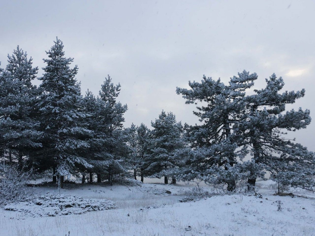 Kartpostallık manzaralar ortaya çıktı! - Sayfa 25