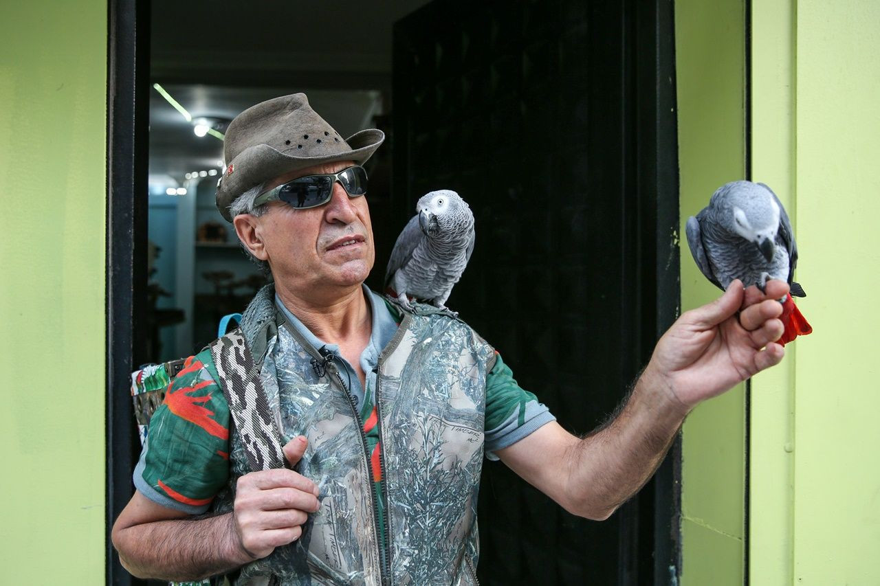 Tropik ada görünümlü papağan eğitim merkezi! - Sayfa 10