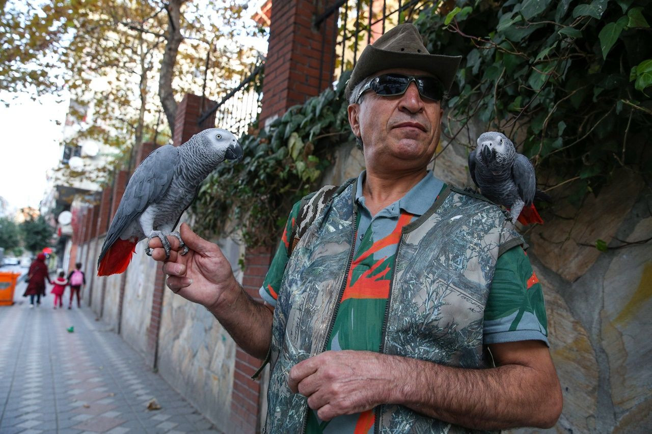 Tropik ada görünümlü papağan eğitim merkezi! - Sayfa 13