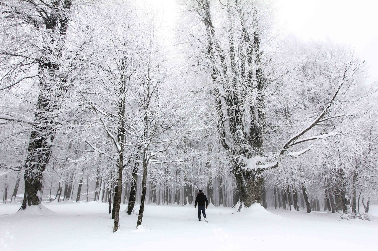 Domaniç Dağları beyaza büründü... - Sayfa 8