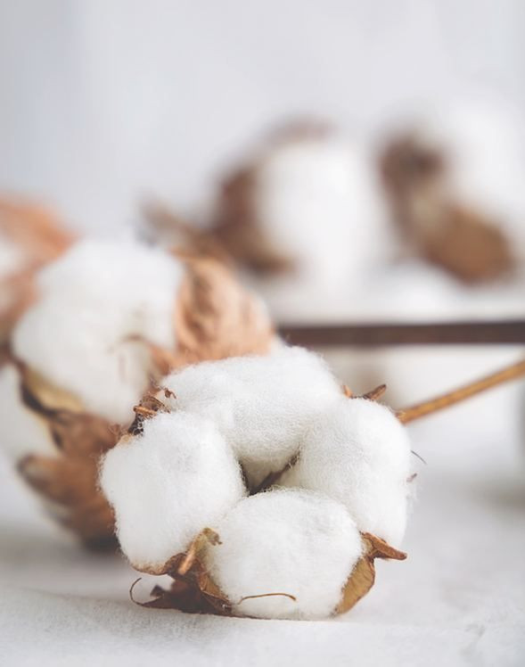 Vajinalarına limon sıkıyorlardı! İşte sebebi... - Sayfa 6