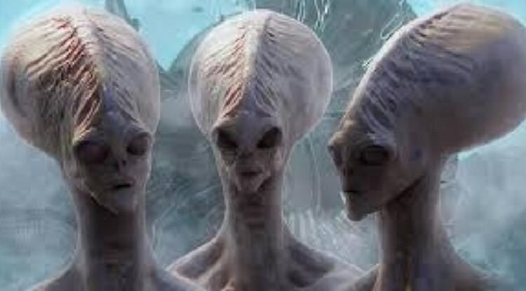 Van'da UFO heyecanı yaratmıştı! Ne olduğu ortaya çıktı... - Sayfa 11