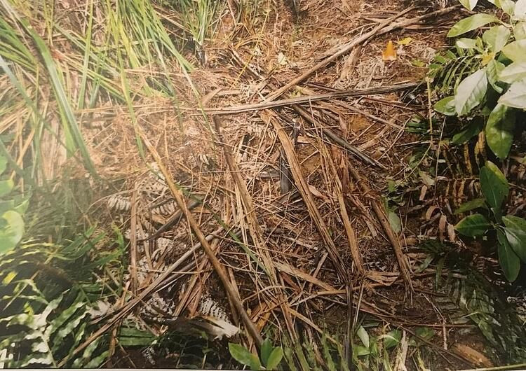 Katiline 'merhaba' dediğini bilmiyordu! İlişki sırasında öldürüldü... - Sayfa 35