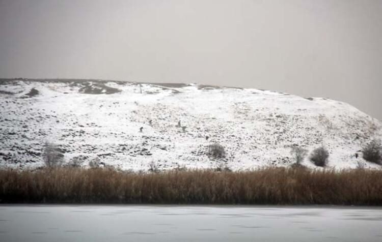 Sivas'ta donan gölün üstünde belirdi! Duyan oraya koştu... - Sayfa 21