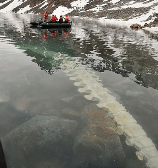 İlk kez göreceğiniz birbirinden ilginç fotoğraflar - Sayfa 17