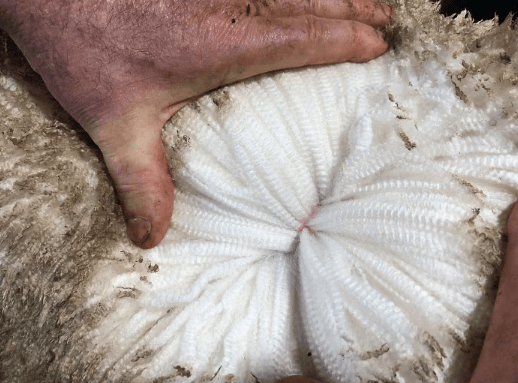 İlk kez göreceğiniz birbirinden ilginç fotoğraflar - Sayfa 6