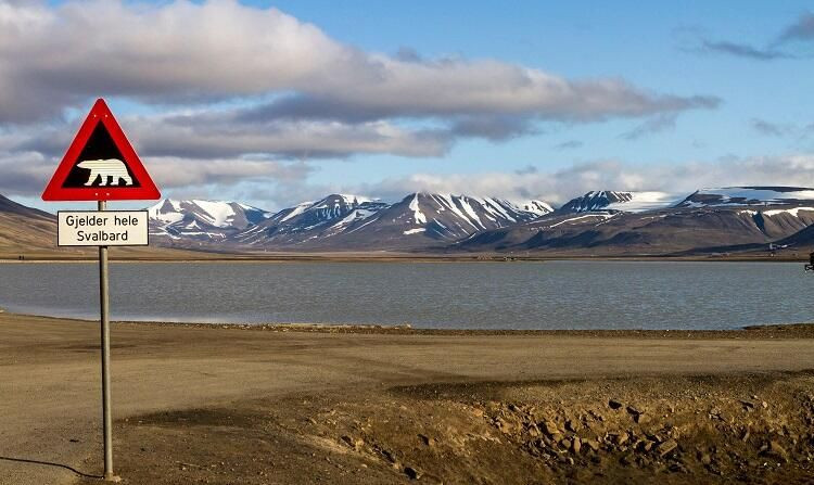 Bu kasabada ölmek kanunen yasak! - Sayfa 14