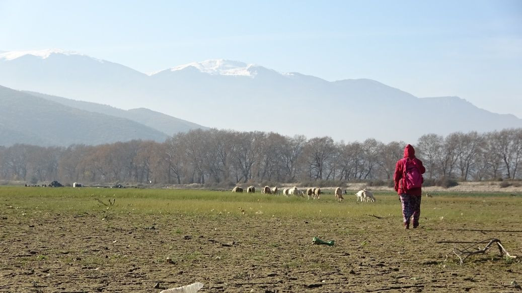 Korkutan görüntü! Koca göl kurudu... - Sayfa 5