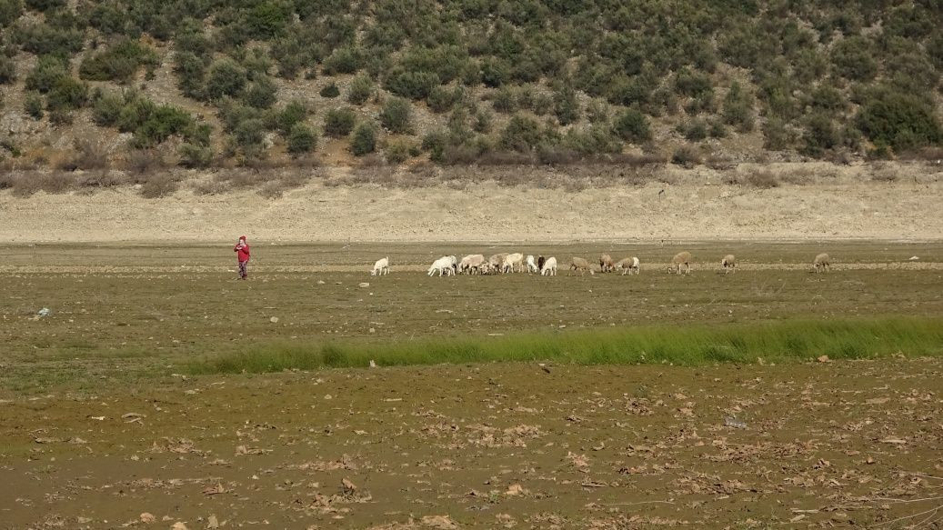 Korkutan görüntü! Koca göl kurudu... - Sayfa 8