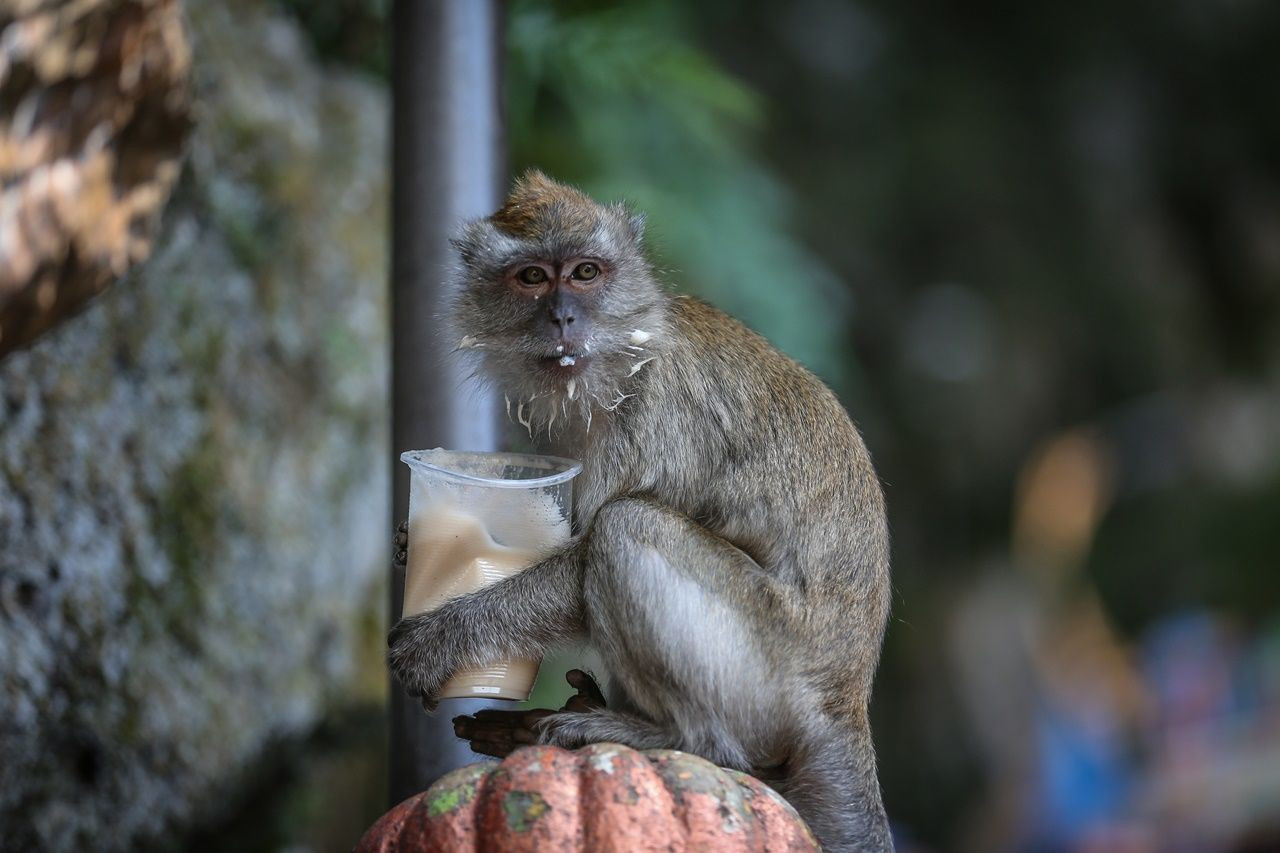 Bir yanda 400 milyon yıllık mağaralar, diğer yanda gökdelenler... - Sayfa 5