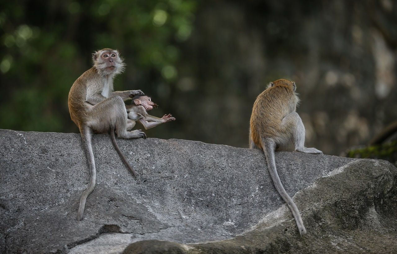 Bir yanda 400 milyon yıllık mağaralar, diğer yanda gökdelenler... - Sayfa 12