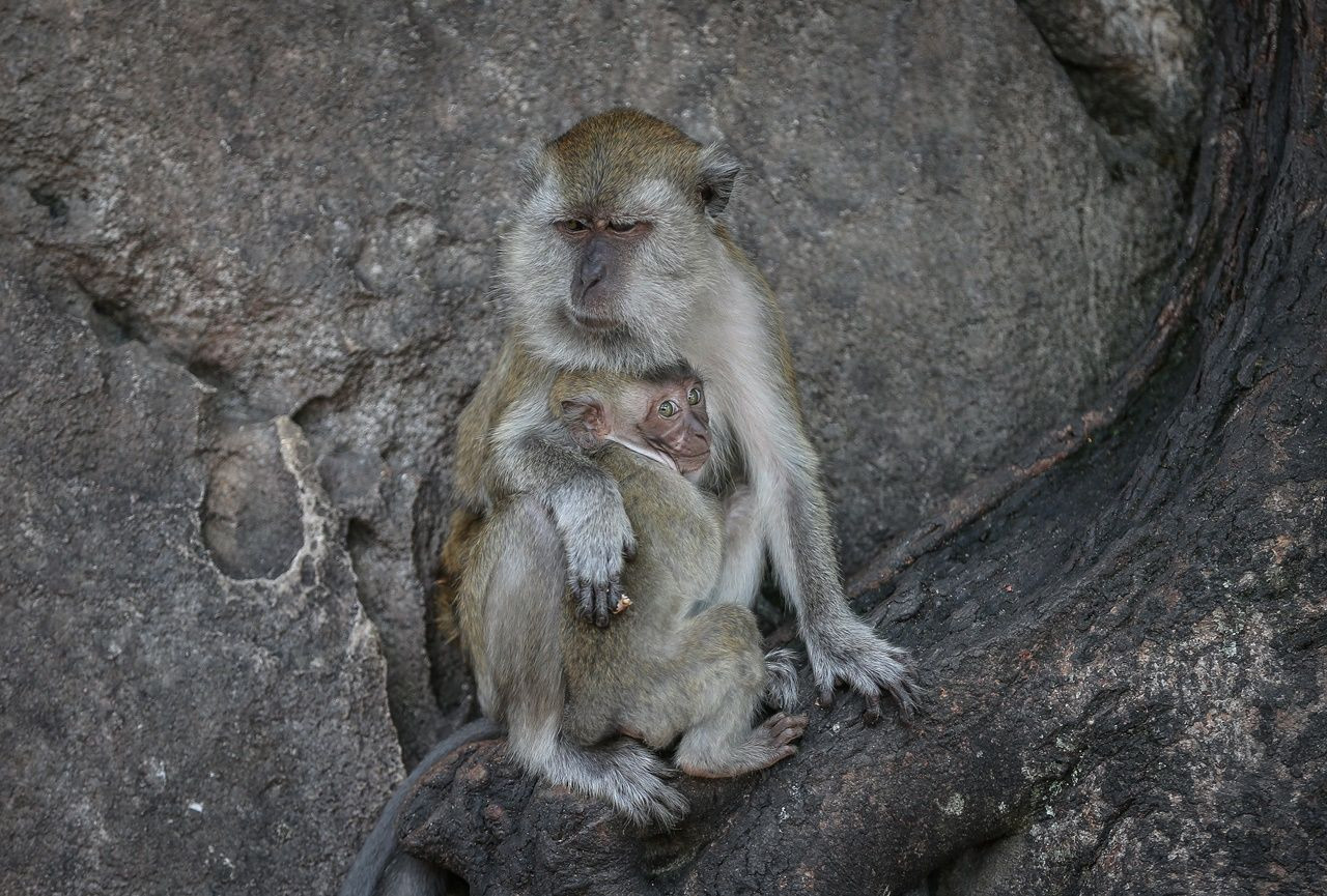 Bir yanda 400 milyon yıllık mağaralar, diğer yanda gökdelenler... - Sayfa 13