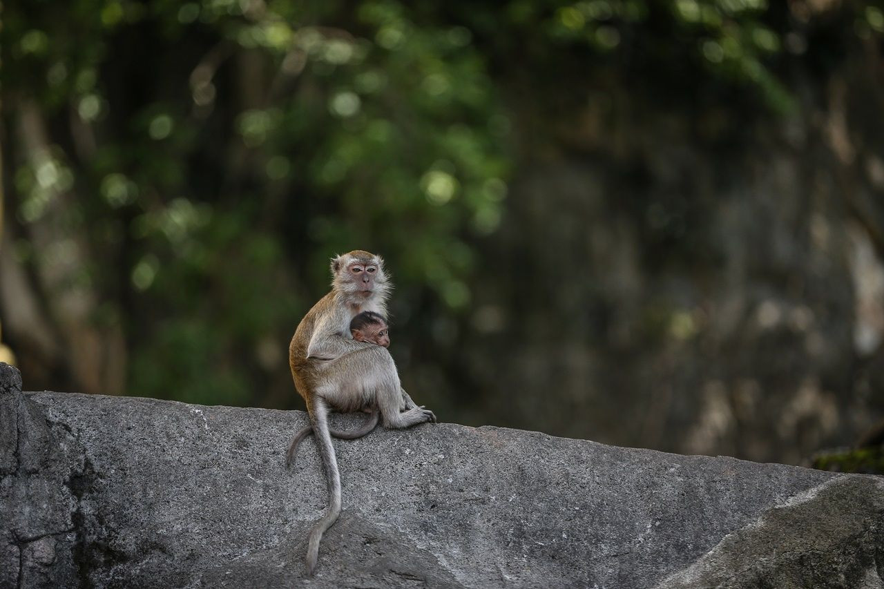 Bir yanda 400 milyon yıllık mağaralar, diğer yanda gökdelenler... - Sayfa 14