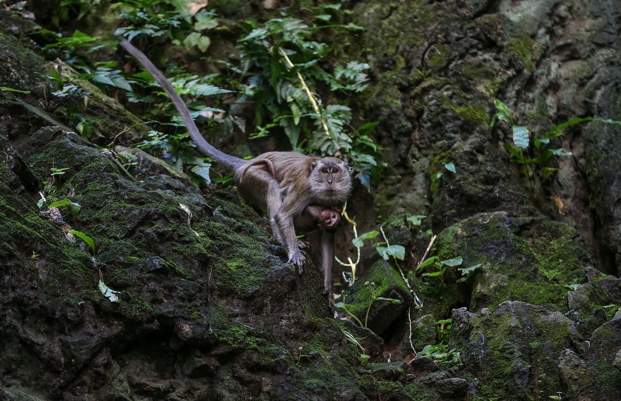 Bir yanda 400 milyon yıllık mağaralar, diğer yanda gökdelenler... - Sayfa 20