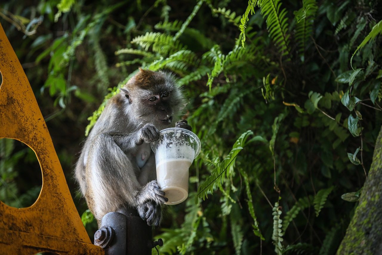 Bir yanda 400 milyon yıllık mağaralar, diğer yanda gökdelenler... - Sayfa 22