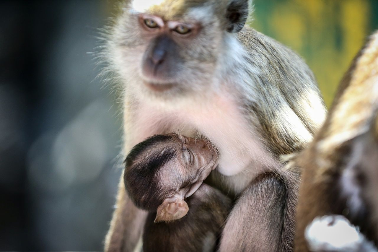 Bir yanda 400 milyon yıllık mağaralar, diğer yanda gökdelenler... - Sayfa 23