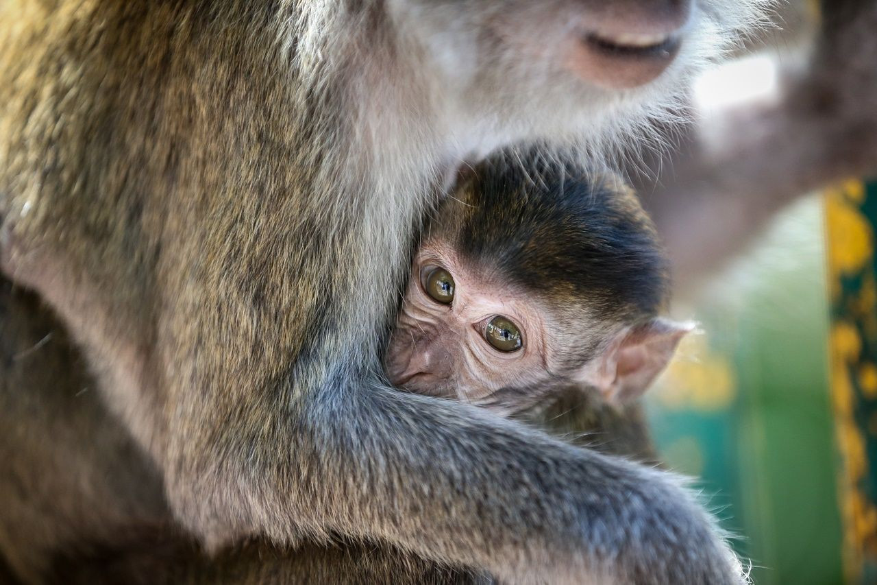 Bir yanda 400 milyon yıllık mağaralar, diğer yanda gökdelenler... - Sayfa 34