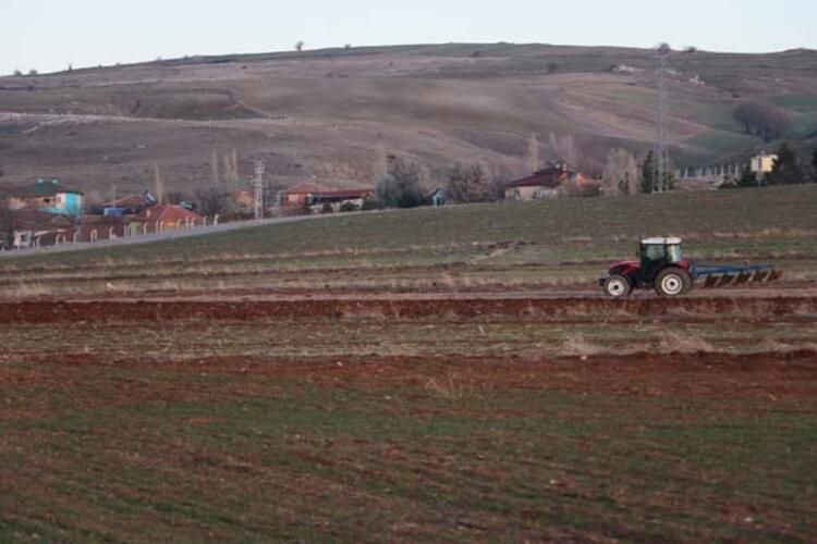 Tarlada bulduğu taşı banka kasasına koydu! - Sayfa 7