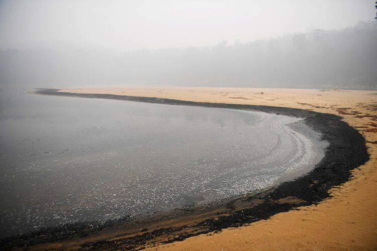 'Mega felaket' için soyunuyorlar! 10 binin üzerinde çıplak fotoğraf gönderdi... - Sayfa 31