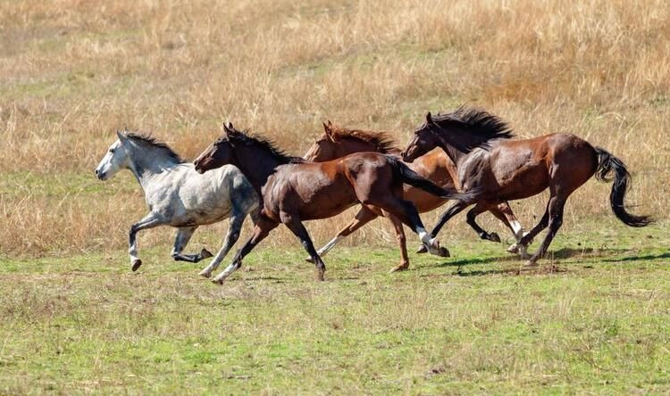 'Mega felaket' için soyunuyorlar! 10 binin üzerinde çıplak fotoğraf gönderdi... - Sayfa 29