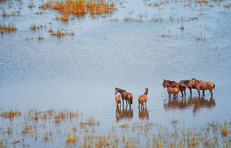 'Mega felaket' için soyunuyorlar! 10 binin üzerinde çıplak fotoğraf gönderdi... - Sayfa 28
