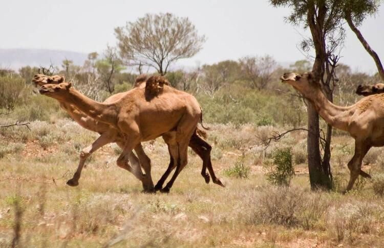 'Mega felaket' için soyunuyorlar! 10 binin üzerinde çıplak fotoğraf gönderdi... - Sayfa 27