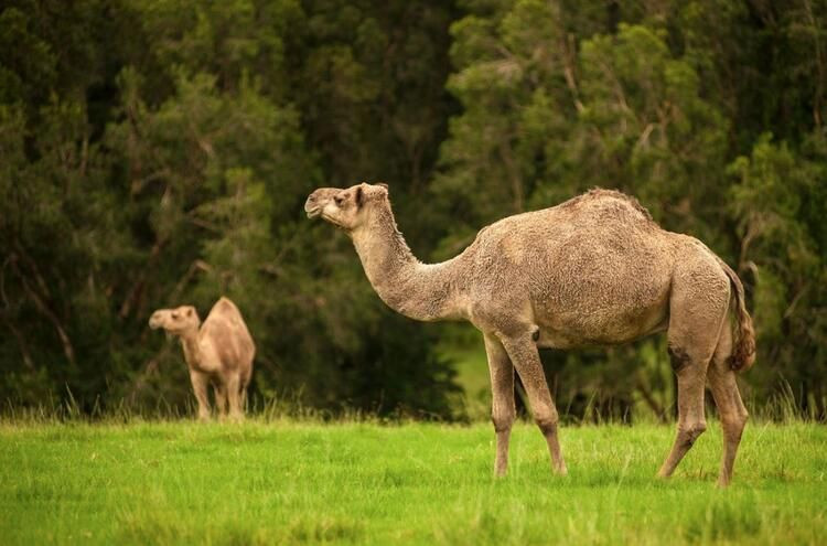 'Mega felaket' için soyunuyorlar! 10 binin üzerinde çıplak fotoğraf gönderdi... - Sayfa 24