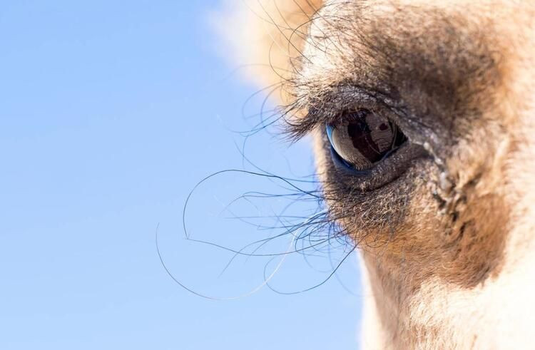 'Mega felaket' için soyunuyorlar! 10 binin üzerinde çıplak fotoğraf gönderdi... - Sayfa 25