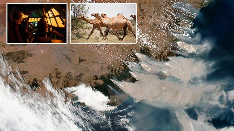 'Mega felaket' için soyunuyorlar! 10 binin üzerinde çıplak fotoğraf gönderdi... - Sayfa 23