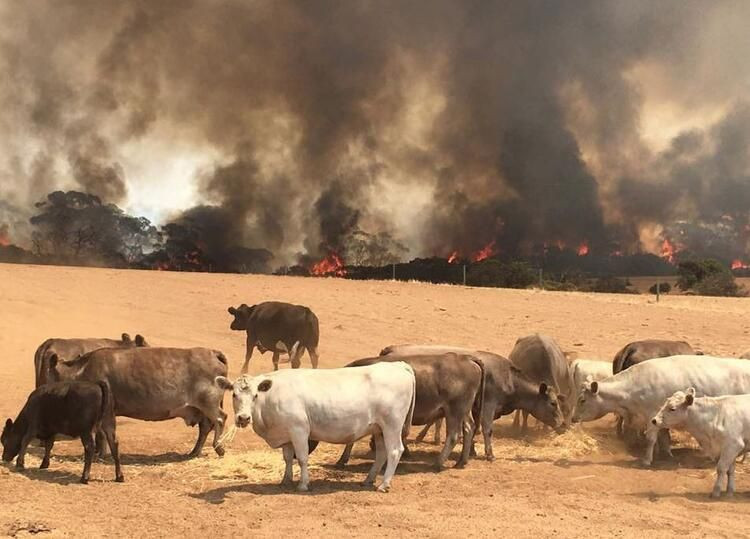 'Mega felaket' için soyunuyorlar! 10 binin üzerinde çıplak fotoğraf gönderdi... - Sayfa 32